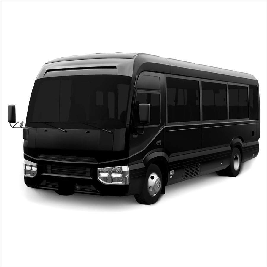 Mini Coach Bus 24-36 passenger